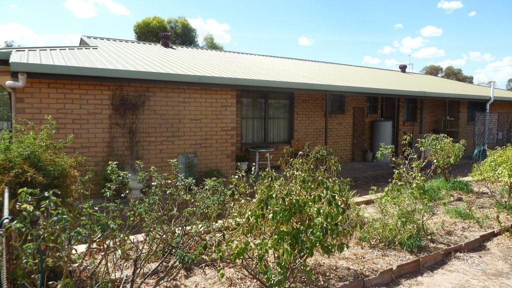 54 Schulze Road, Warramboo SA 5650, Image 1