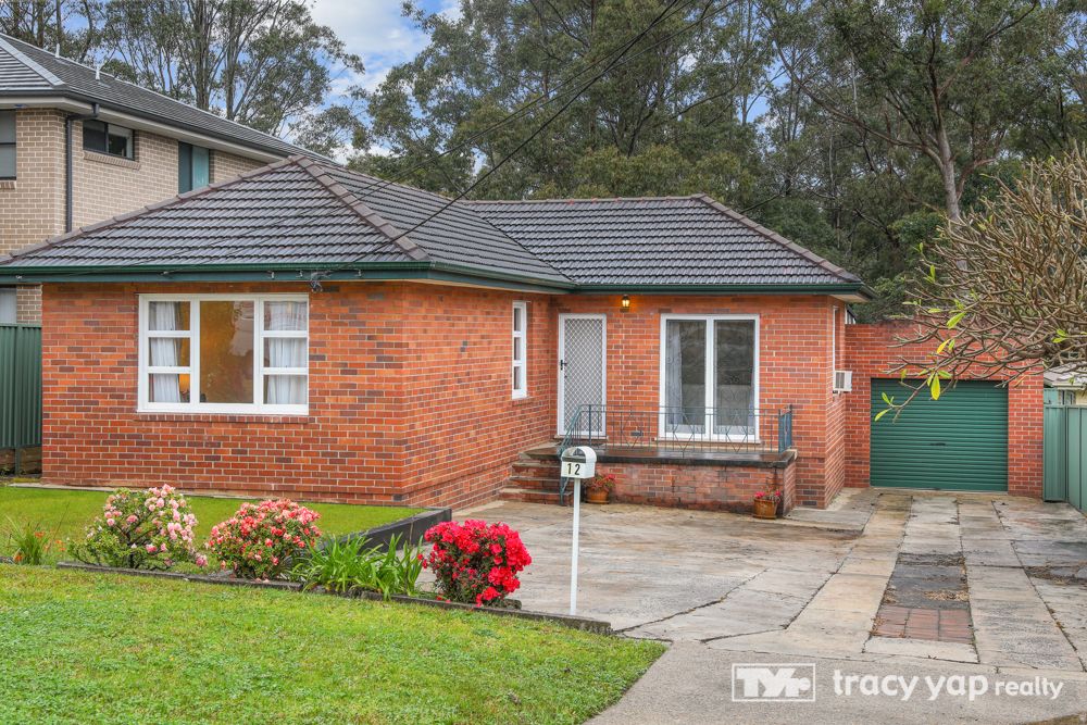 12 Skenes Avenue, Eastwood NSW 2122