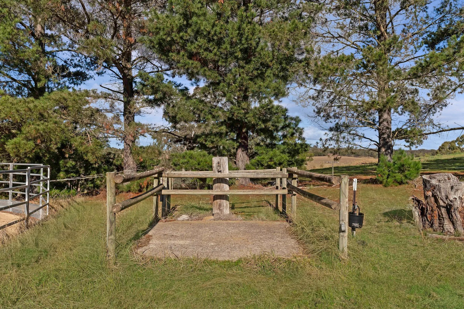 Image 34