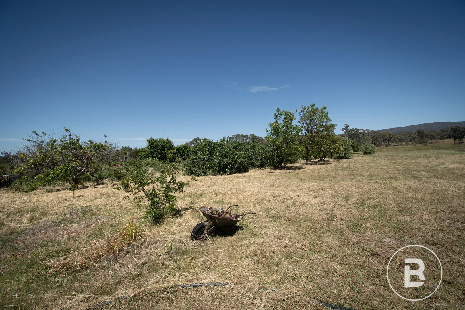 Image 16