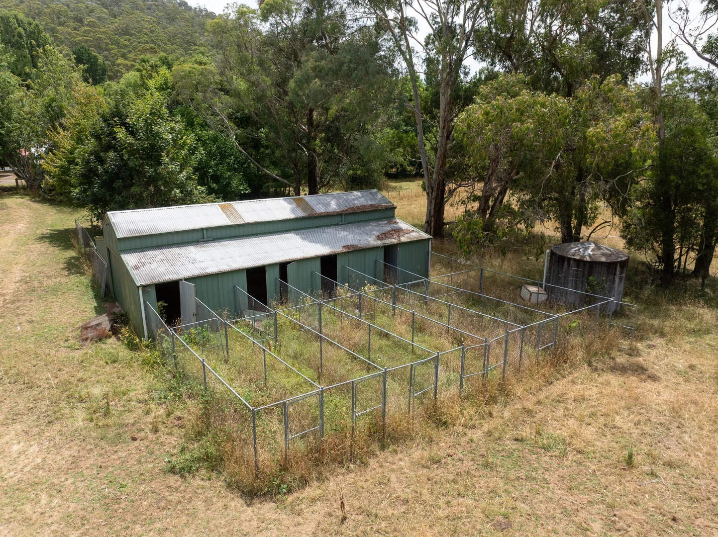 Image 19
