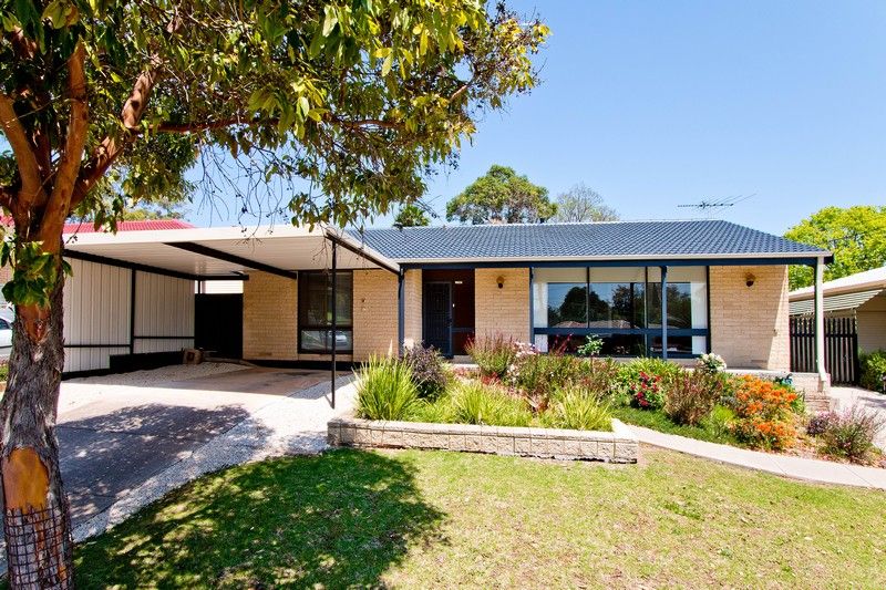 14 Folkstone Street, Modbury Heights SA 5092, Image 0