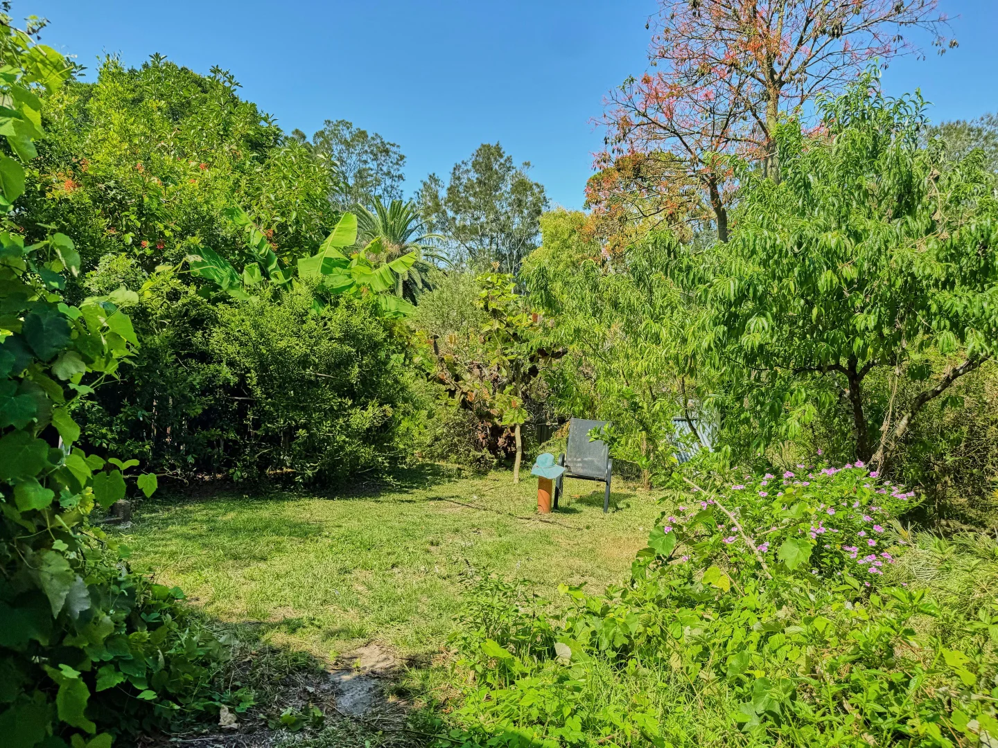 Image 19