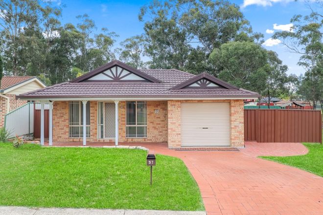 Picture of 37 Driscoll Avenue, ROOTY HILL NSW 2766
