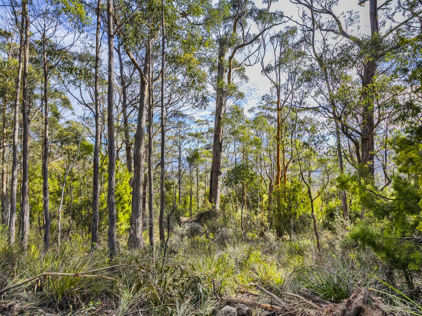 Image 10