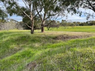 Lot 165 Quairading - York Road, Kauring WA 6302, Image 2