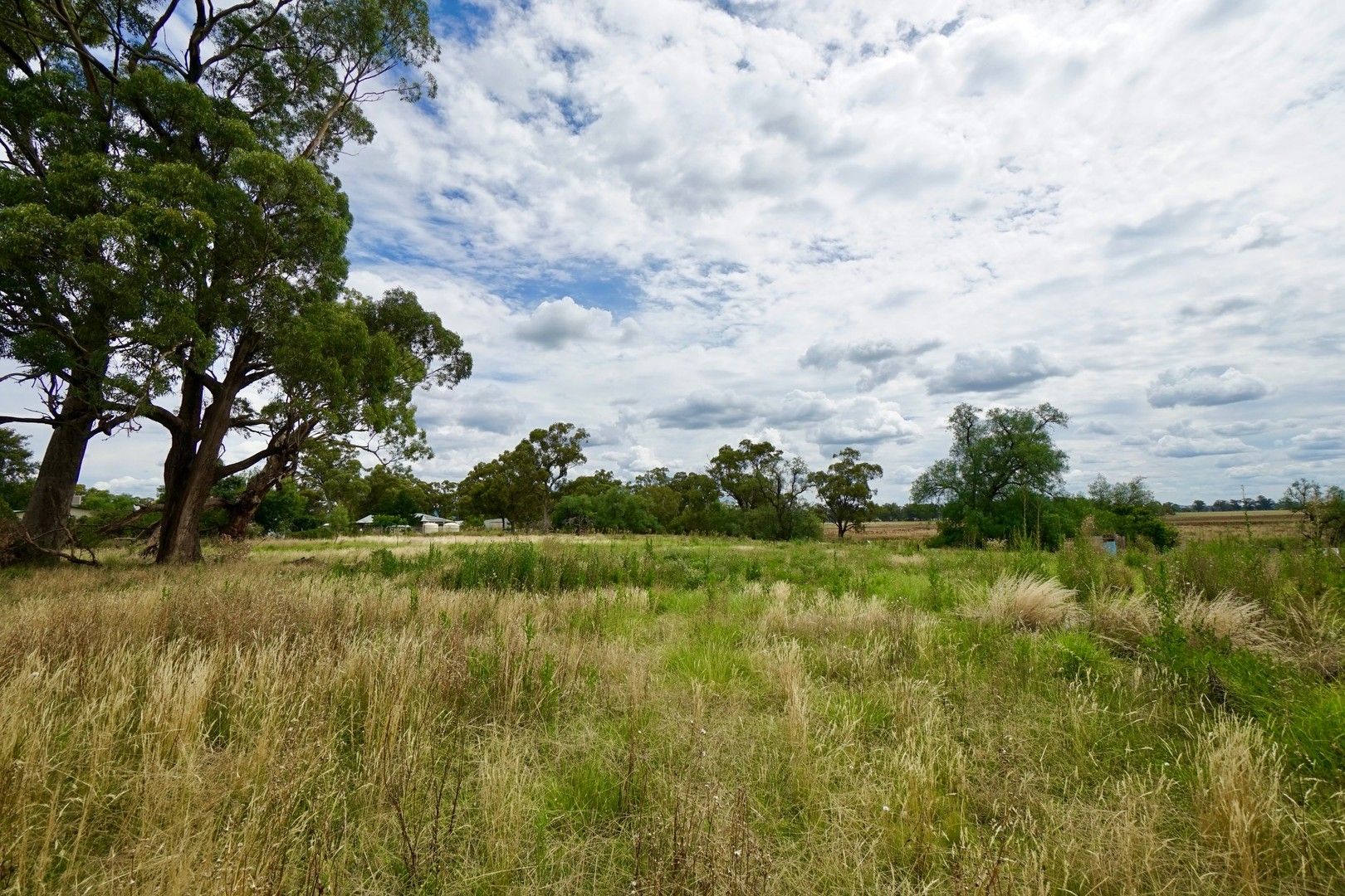 Lot 198 Bank Street, Gooloogong NSW 2805, Image 0