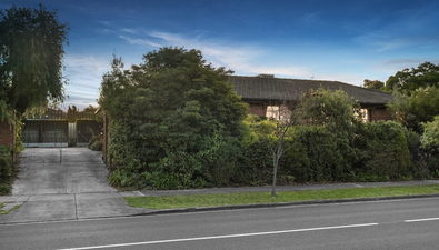 Picture of 81 Renou Road, WANTIRNA SOUTH VIC 3152