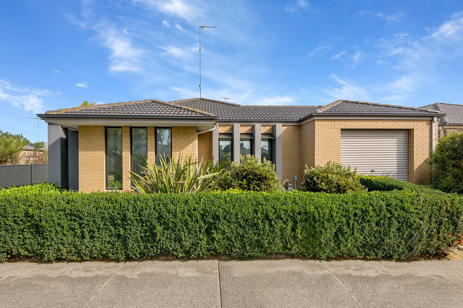 Primary image of 1/25 Benita Place, Leopold VIC 3224