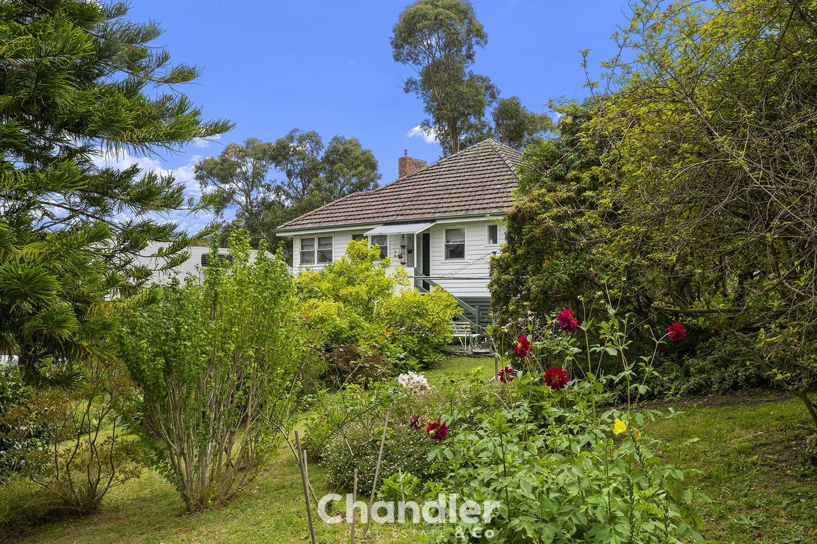 8 Frame Avenue, Tecoma VIC 3160, Image 0