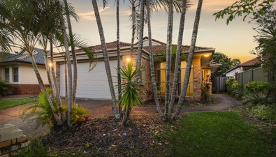 Picture of 36 Vivacity Drive, UPPER COOMERA QLD 4209