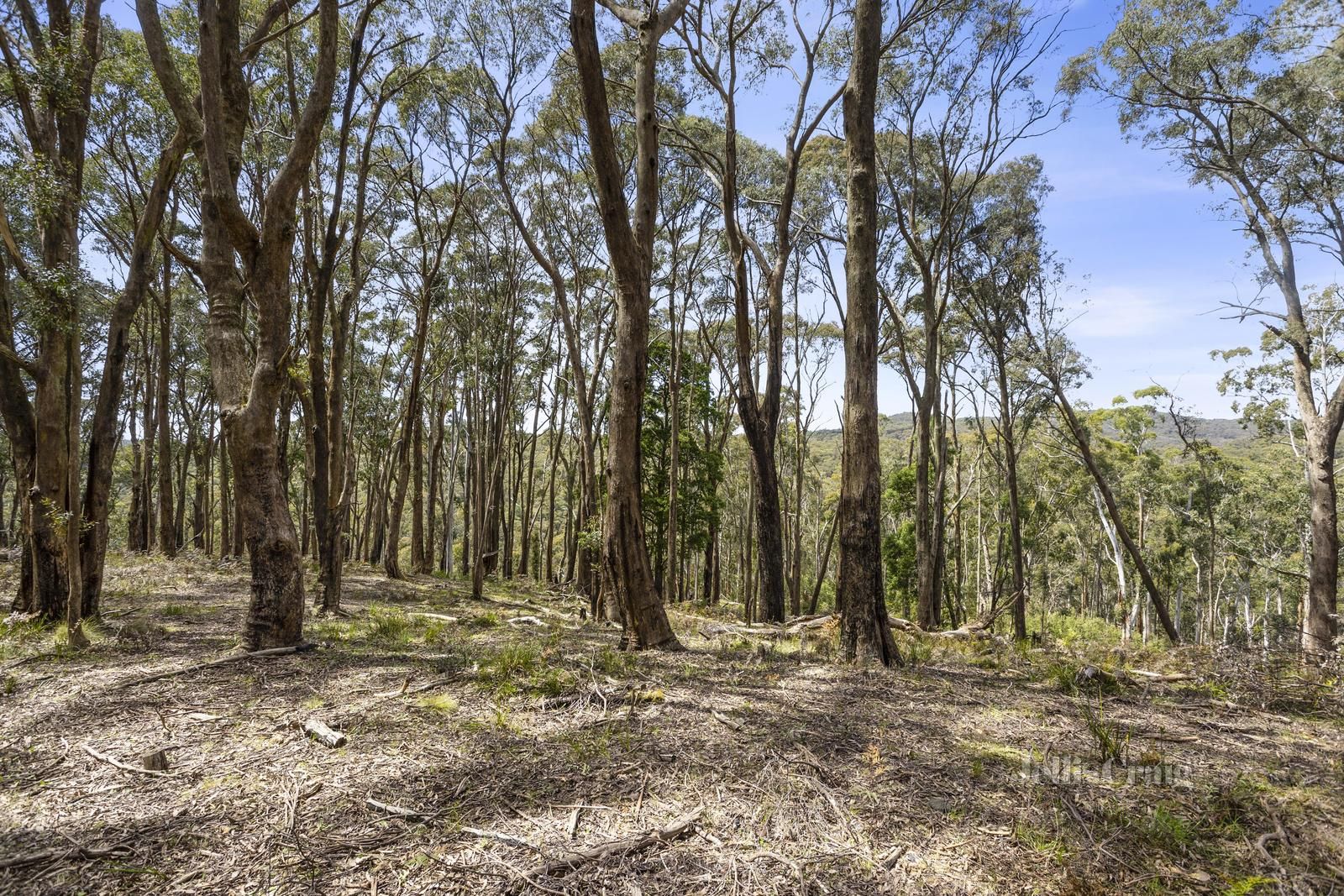 CA 6A, B, C & D Quicks Road, Blackwood VIC 3458, Image 0