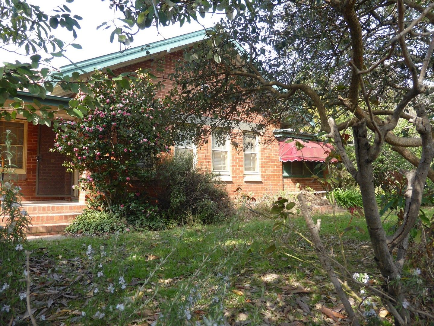 10 Donaldson Street, Braddon ACT 2612, Image 0