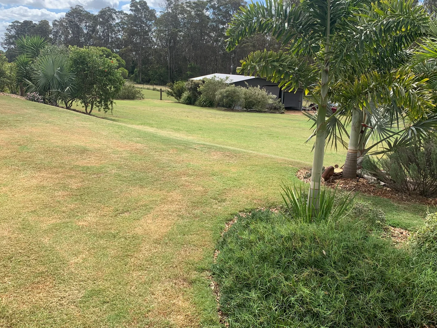 Image 21