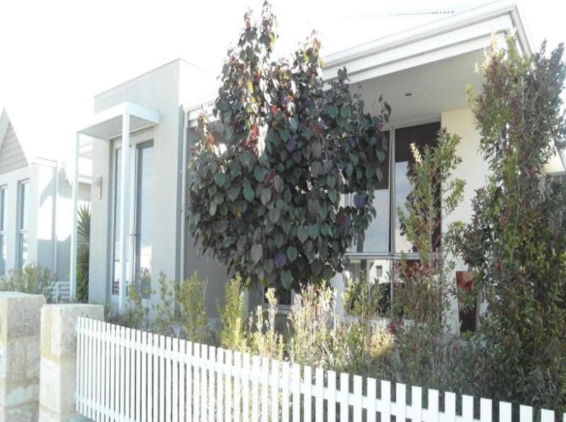 3 bedrooms House in 54 Lyon Road ATWELL WA, 6164