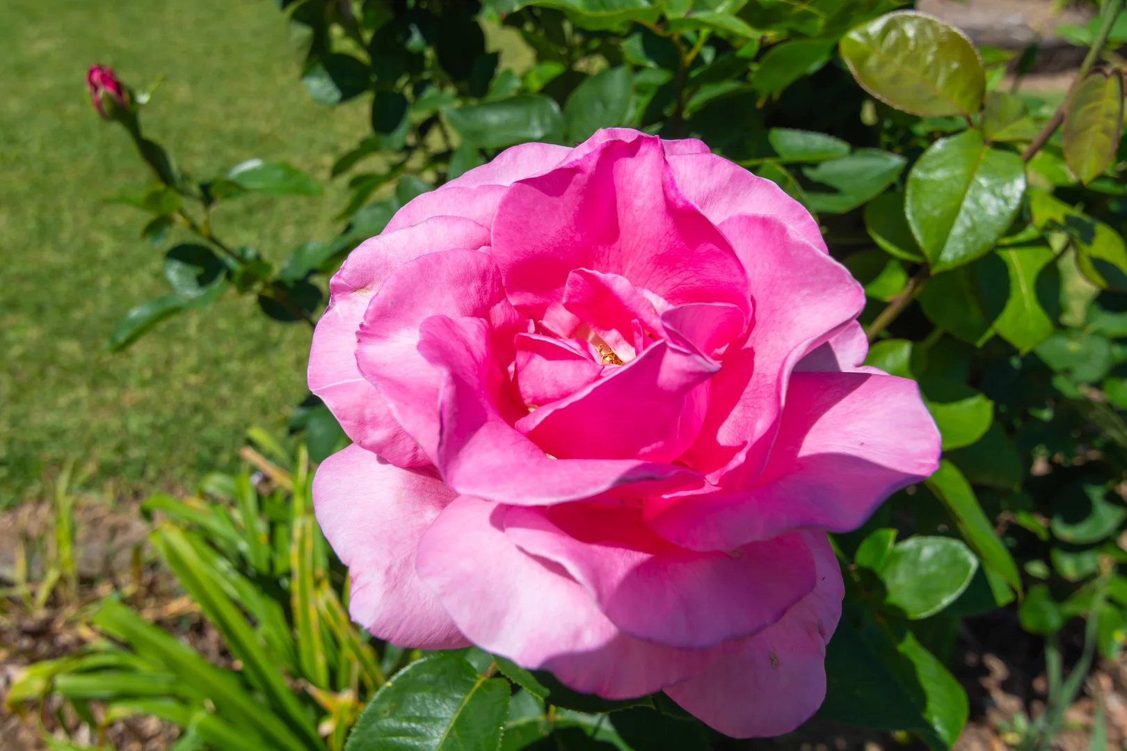 Additional image 32 of 302 Scone Road, Gloucester NSW 2422