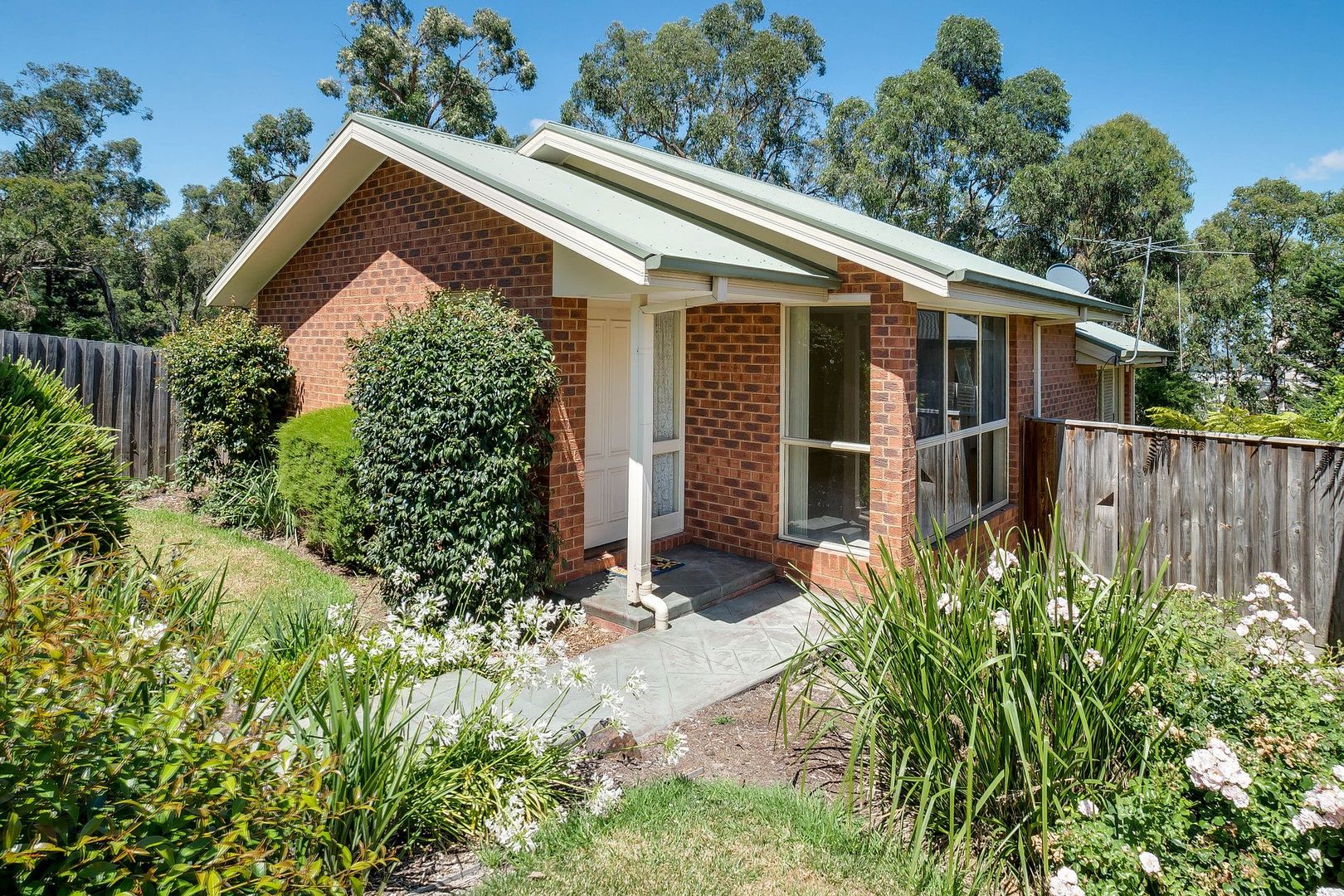 3/17 Arlie Crescent, Montrose VIC 3765, Image 1