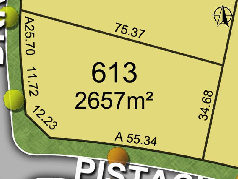 Lot 613 Pistacia Grove, Branxton NSW 2335, Image 0