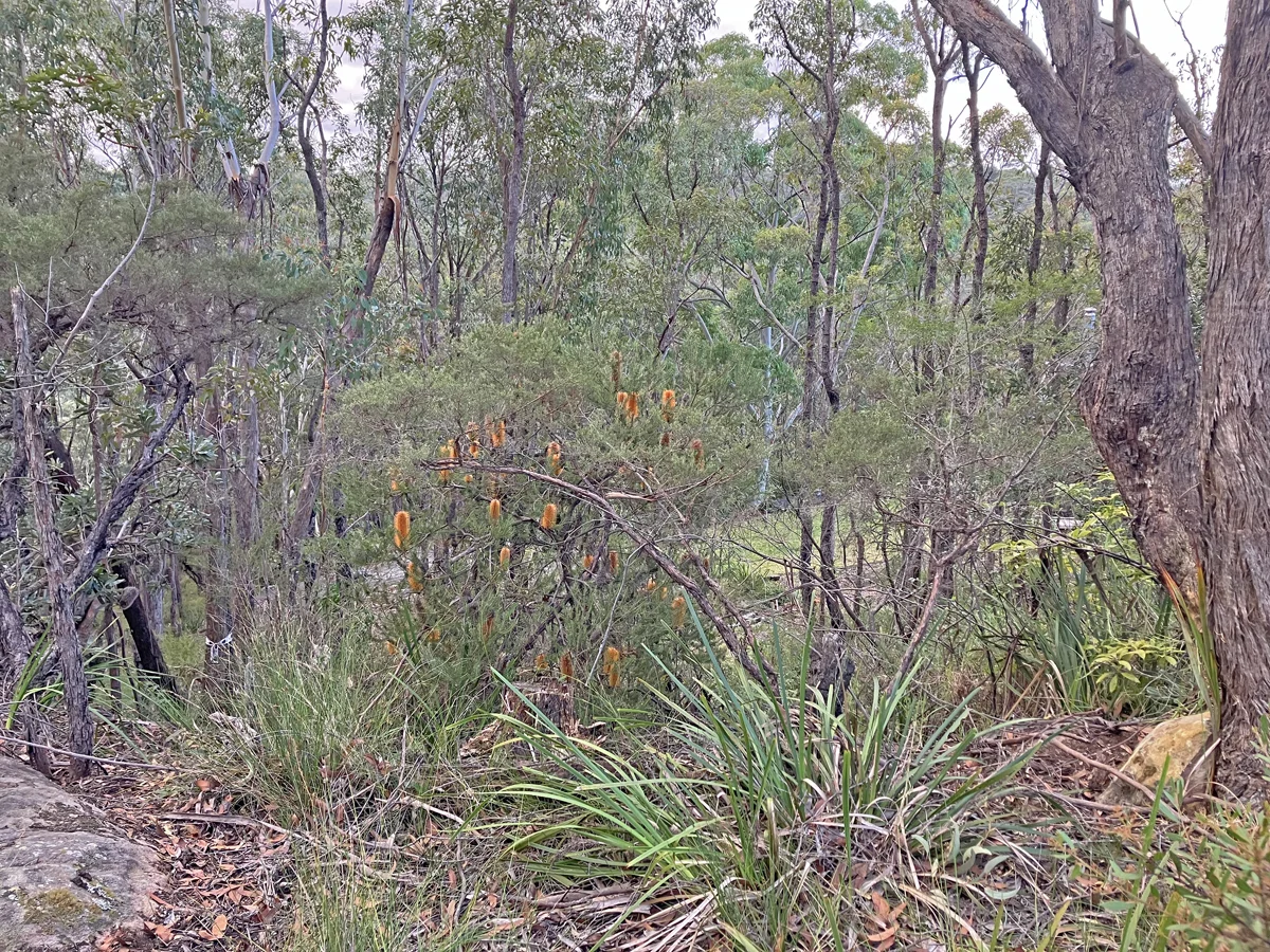 Image 12
