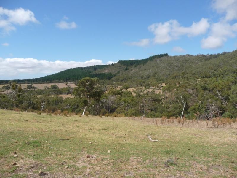 Lot 1 and 2 Back Valley Road, INMAN VALLEY SA 5211, Image 2