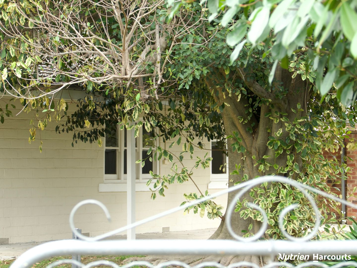 21 De Boos Street, Euroa VIC 3666, Image 0