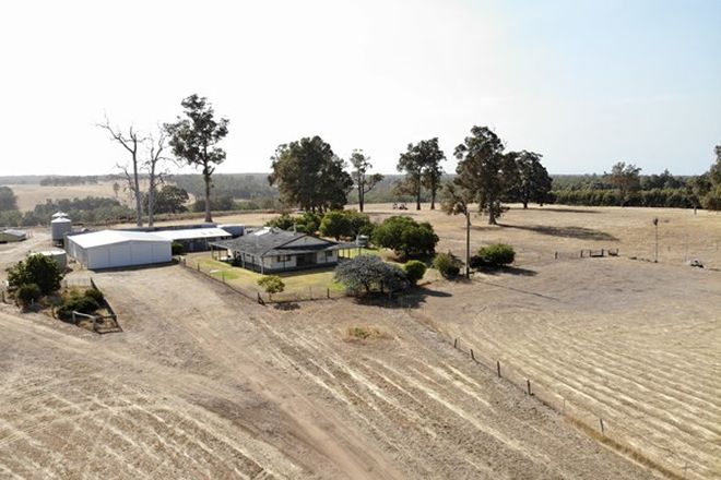 Picture of 903 Mokerdillup Road, WANDILLUP WA 6256