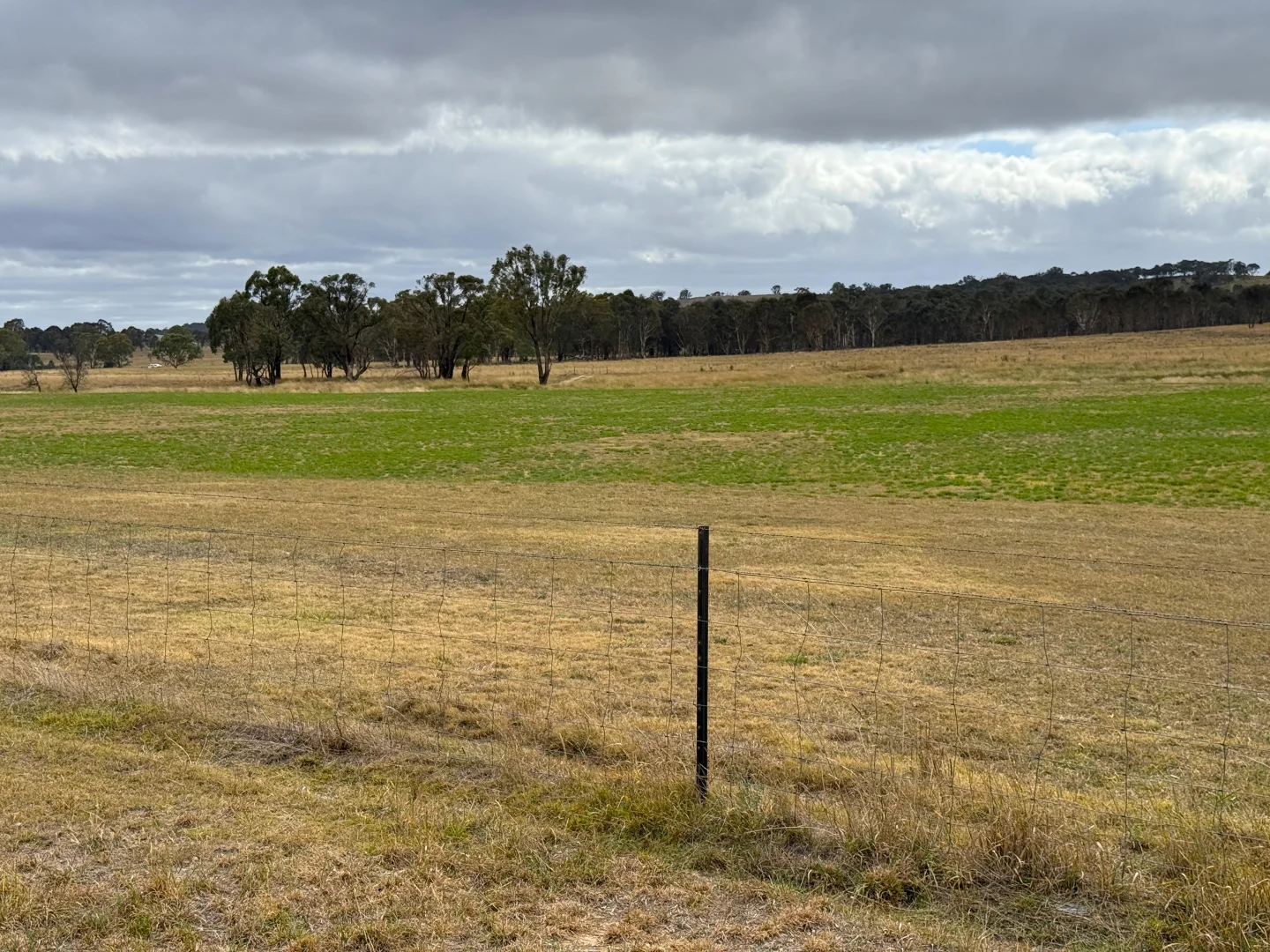 Image 15