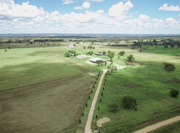 191 Halls Lane, Bukkulla NSW 2360