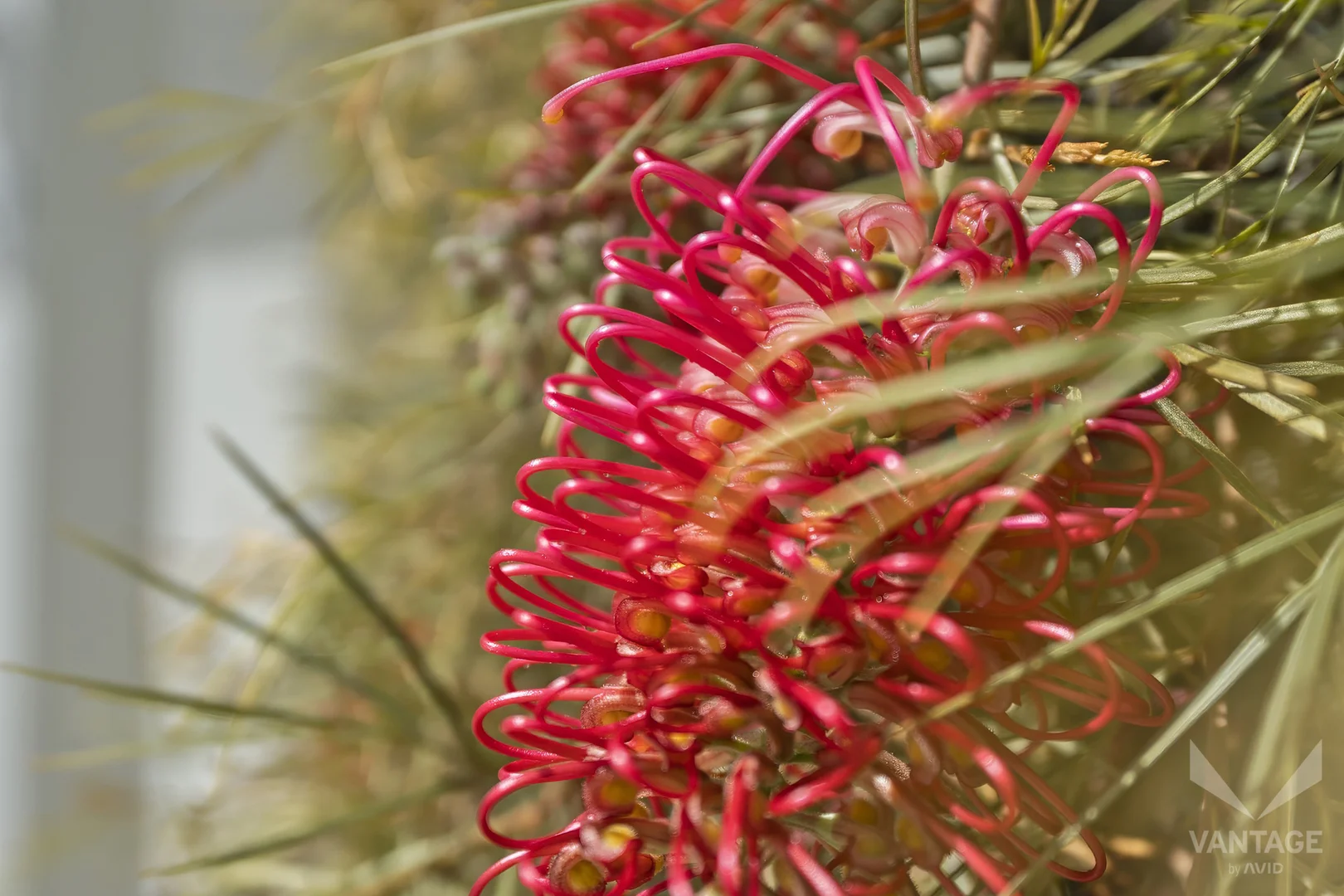 Additional image 18 of 101/176 Torrens Road, Caboolture South QLD 4510