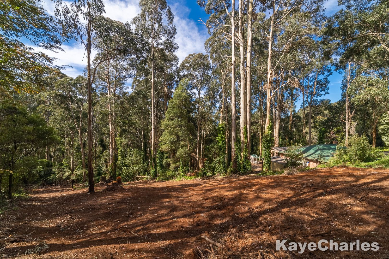 159 Olinda-Monbulk Road, Olinda VIC 3788, Image 1