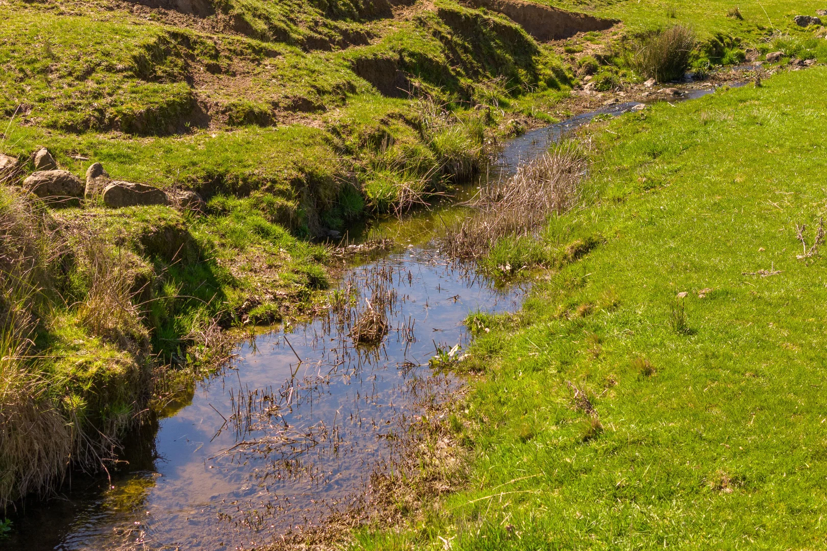 Additional image 23 of Millthorpe NSW 2798