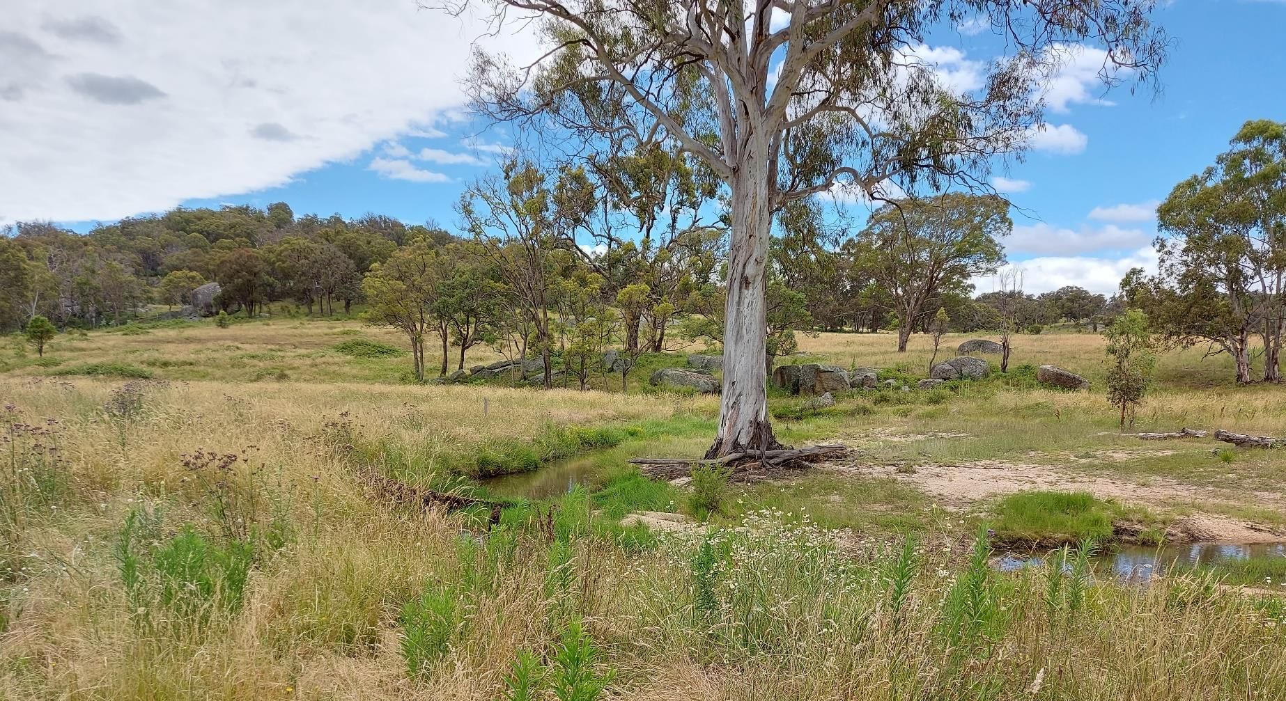 189 Balala Road, Uralla NSW 2358 House for Sale Domain