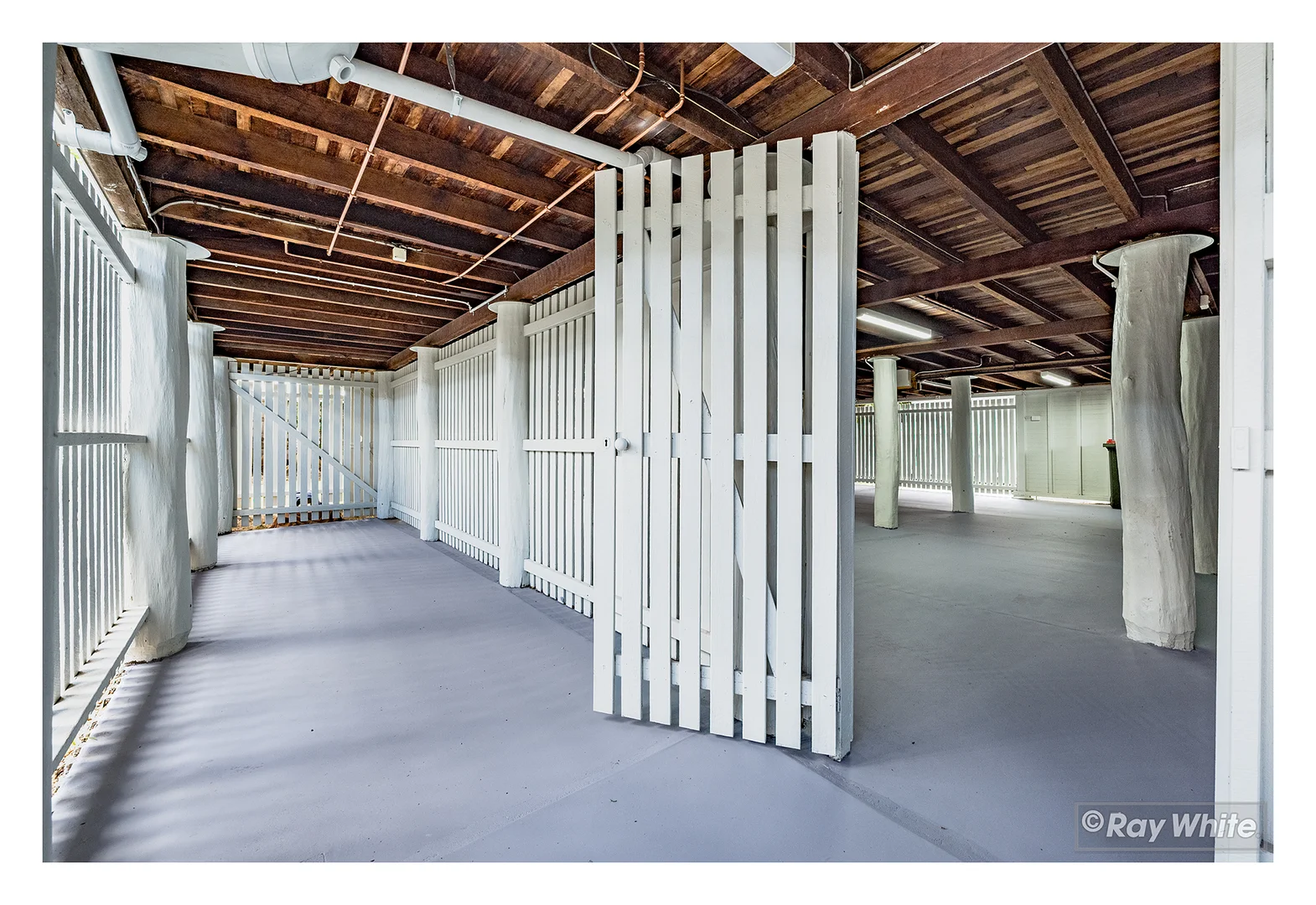 Additional image 24 of 77 Edington Street, Berserker QLD 4701