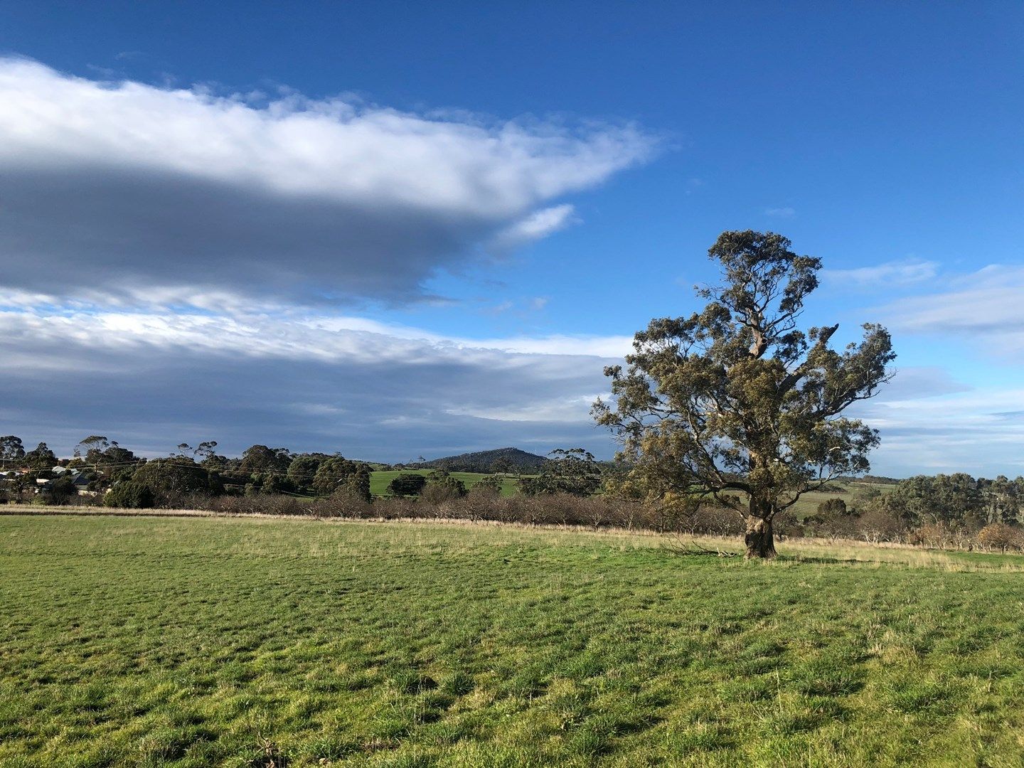 Lot 305 Old Princes Highway, Nairne SA 5252, Image 0