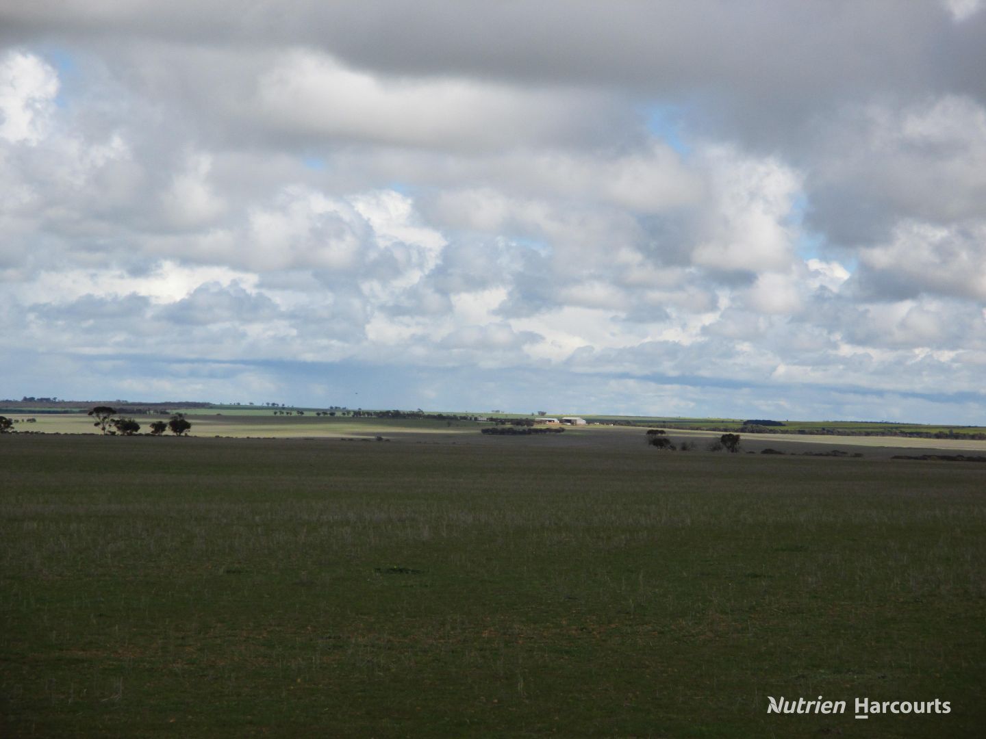 . Kulin Holt Rock Road, Pingaring WA 6357 - Specialist Farm for Sale