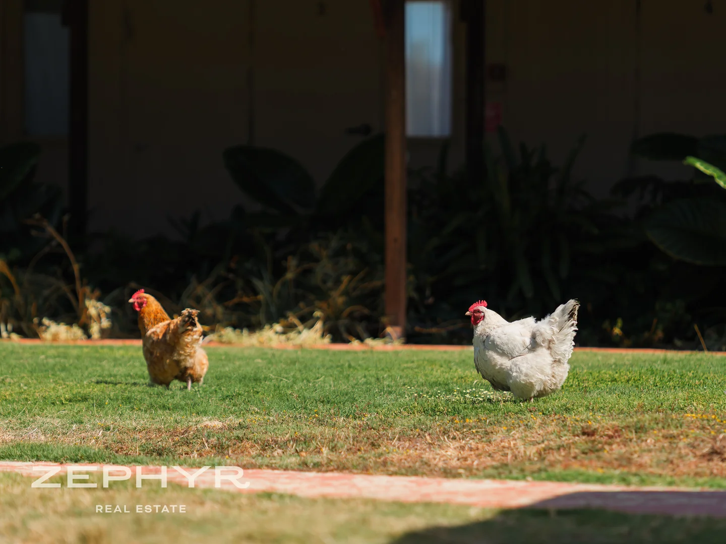 Additional image 51 of 4254 Donnybrook-Boyup Brook Road, Wilga WA 6243