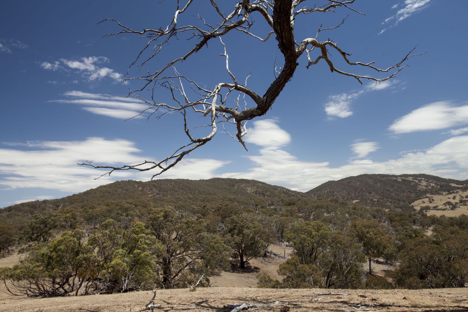 High Camp VIC 3764, Image 1