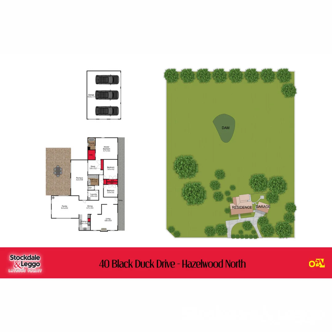 Image 32