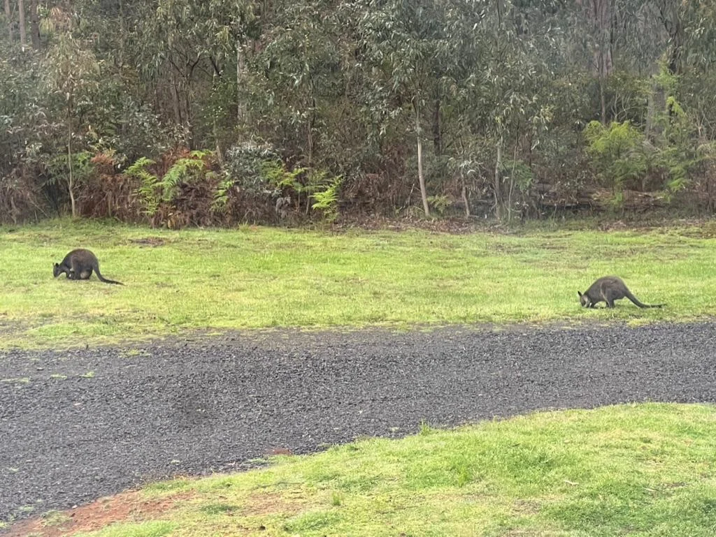 Additional image 20 of 41 Nagle Way, Kinglake West VIC 3757