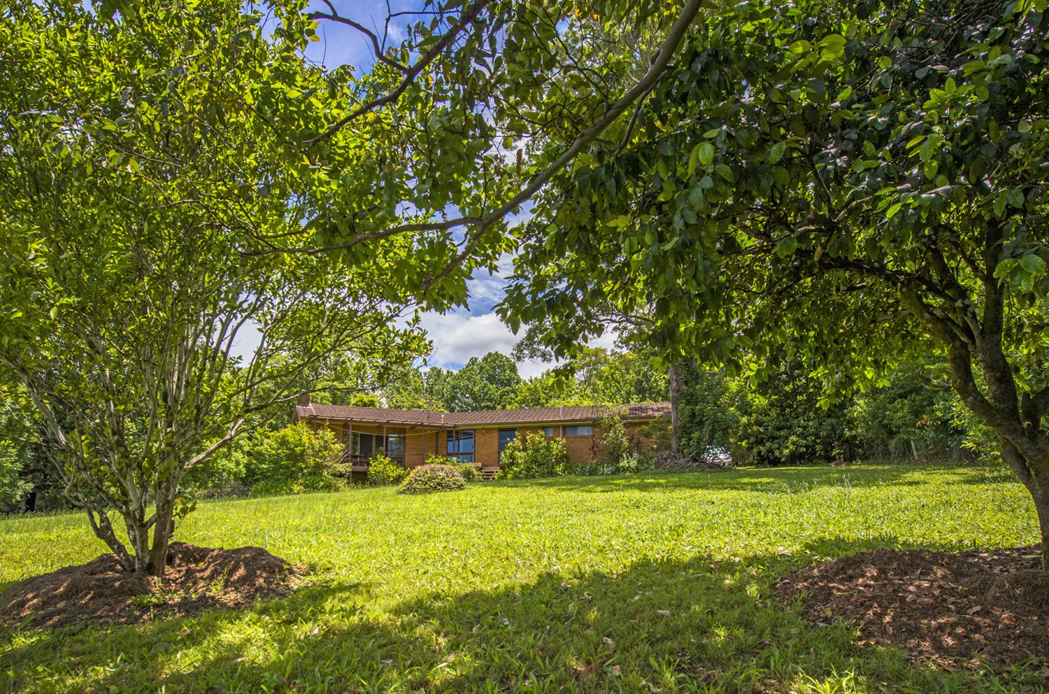 138 Promised Land Loop Road, Bellingen NSW 2454, Image 0