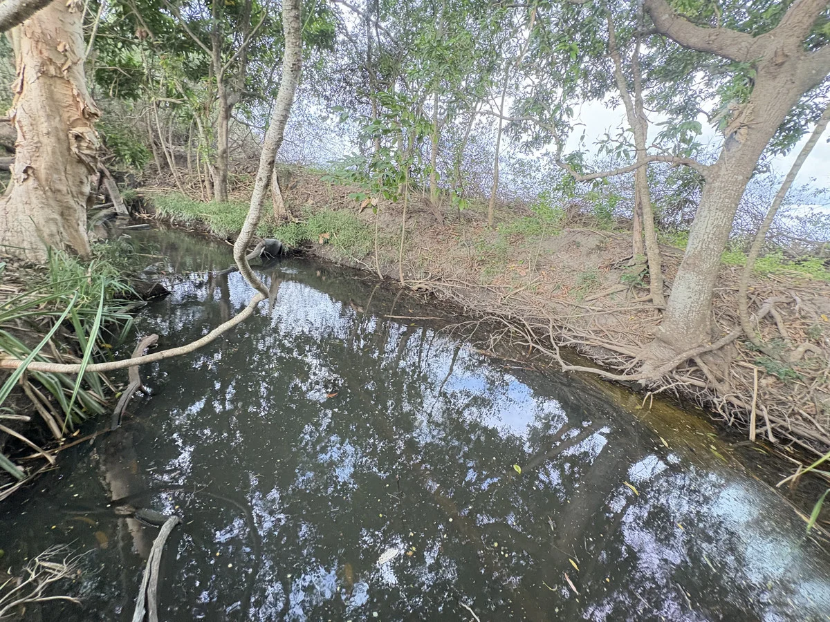 Image 13