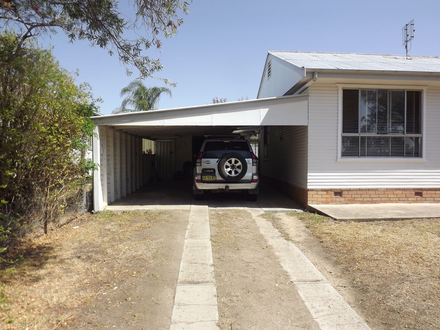 65 Inverell Street, Ashford NSW 2361, Image 1