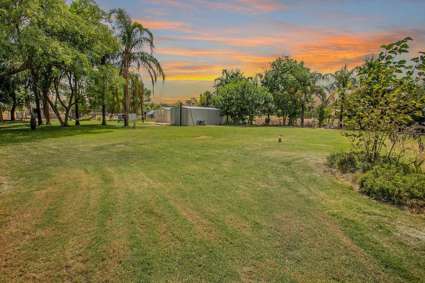 24 Hunter Road, Chinchilla QLD 4413, Image 1