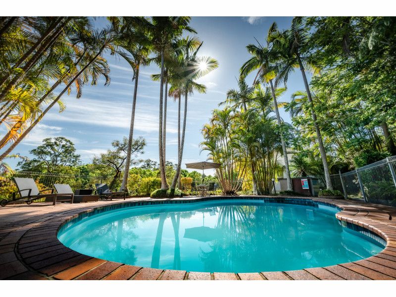 2a Evans Street, Bellingen NSW 2454 House For Rent Domain