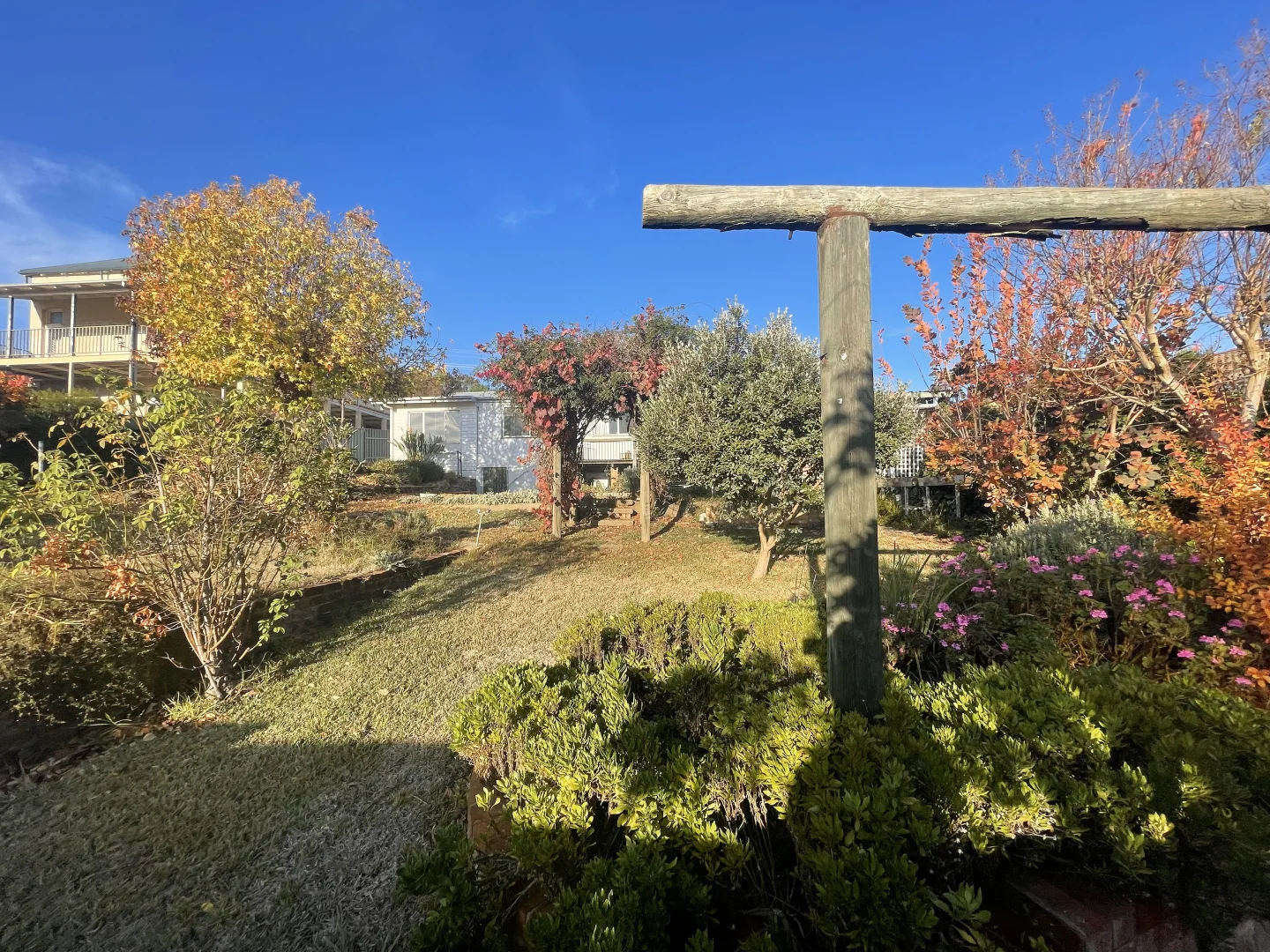Image 15