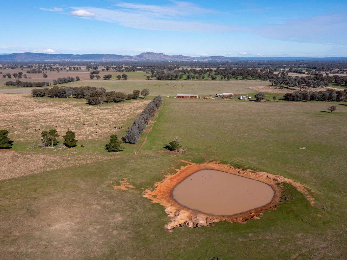 Lot 5 & Lot 6 Mayfield Road, Bungowannah NSW 2640, Image 0