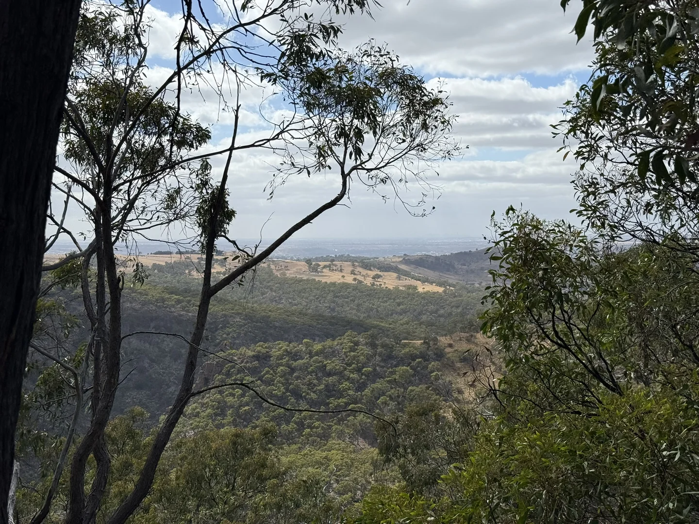 Image 13