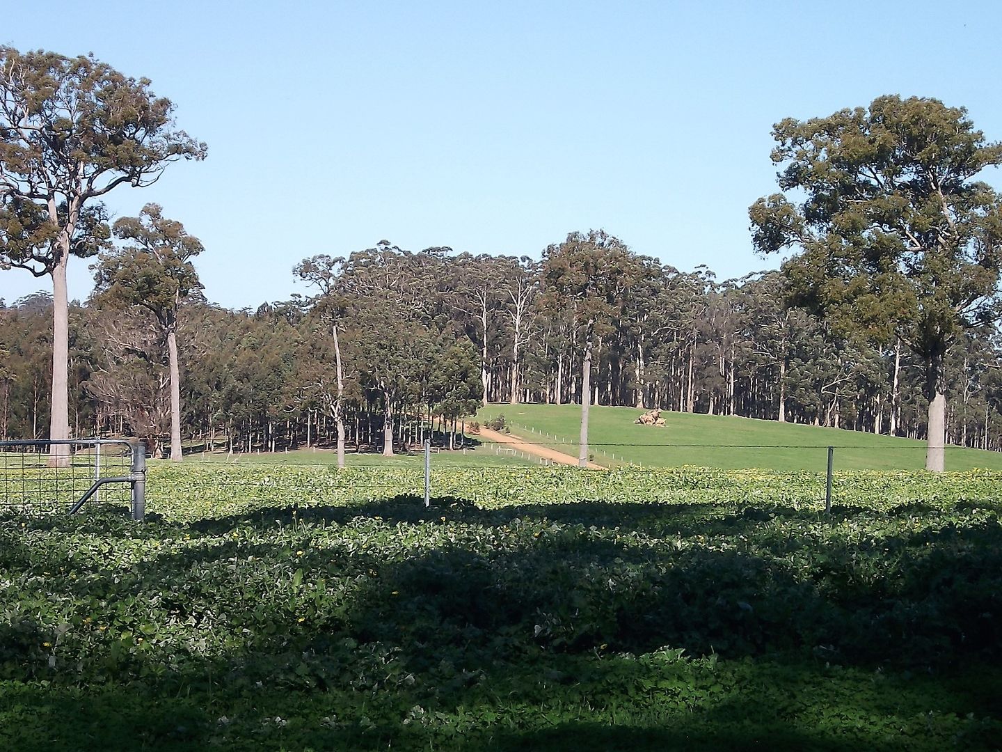 Lot 106 Wetherell Road, Manjimup WA 6258, Image 1