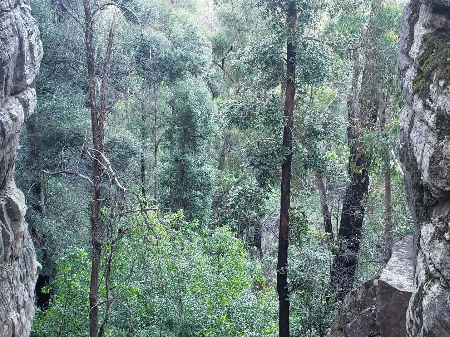 Image 9