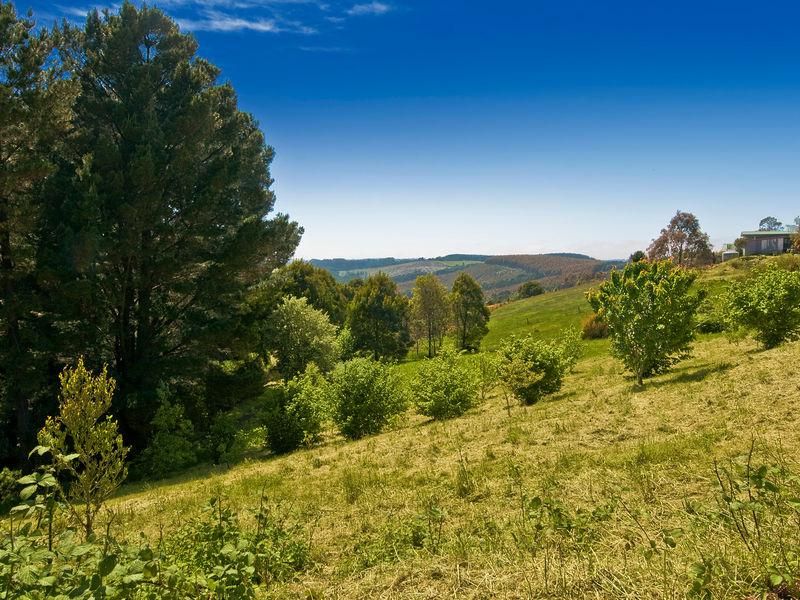 52 Gardner Street, BEECH FOREST VIC 3237, Image 1